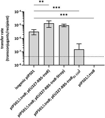 Small Things Matter: The 11.6-kDa TraB Protein is Crucial for Antibiotic Resistance Transfer Among Enterococci